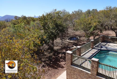 Bushveld 14 11 Scaled