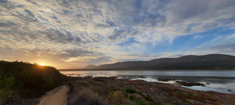 Hermanus 70 (5)
