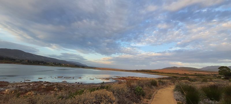 Hermanus 70 (8)