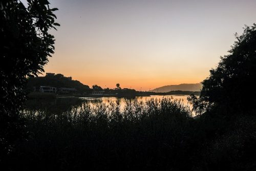 Wilderness 31