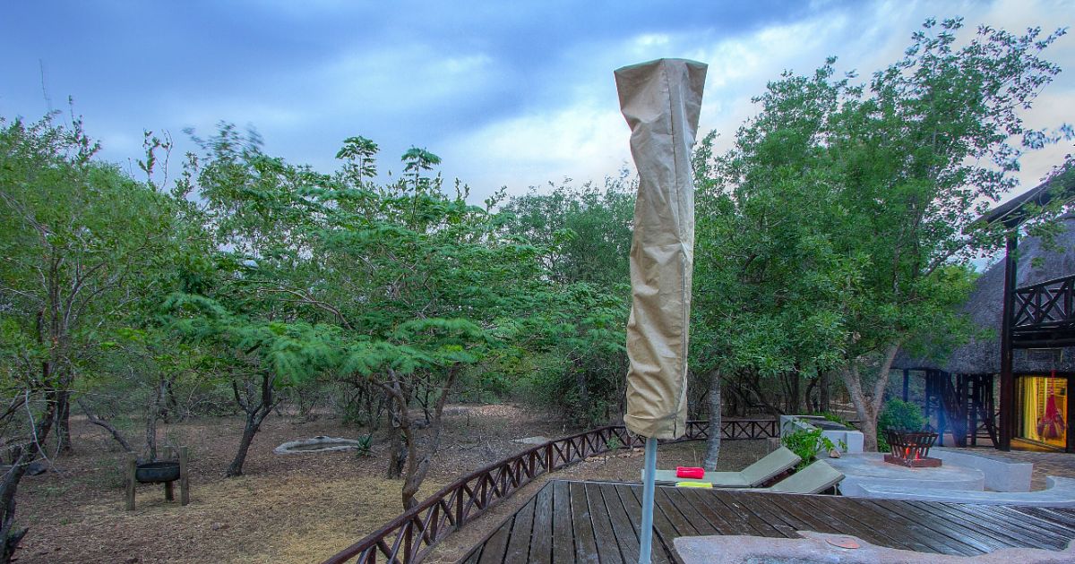 Bushveld 15 (34)