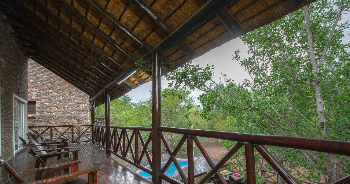 Bushveld 15 (51)