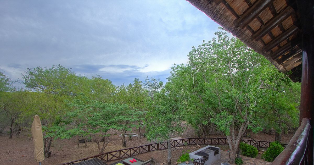 Bushveld 15 (52)