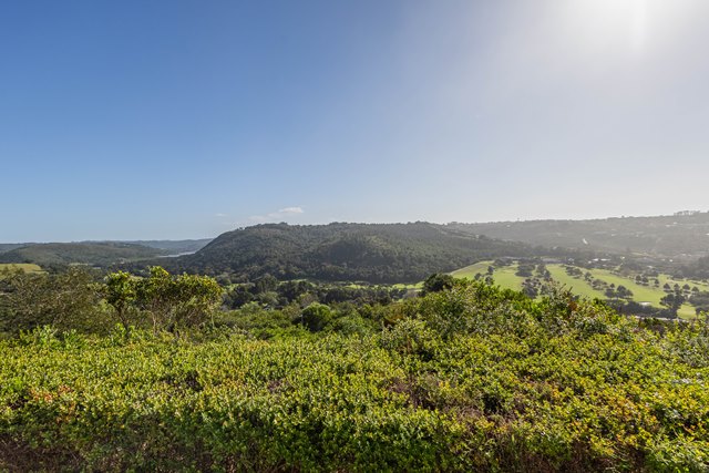 Plettenberg Bay 104 (10)