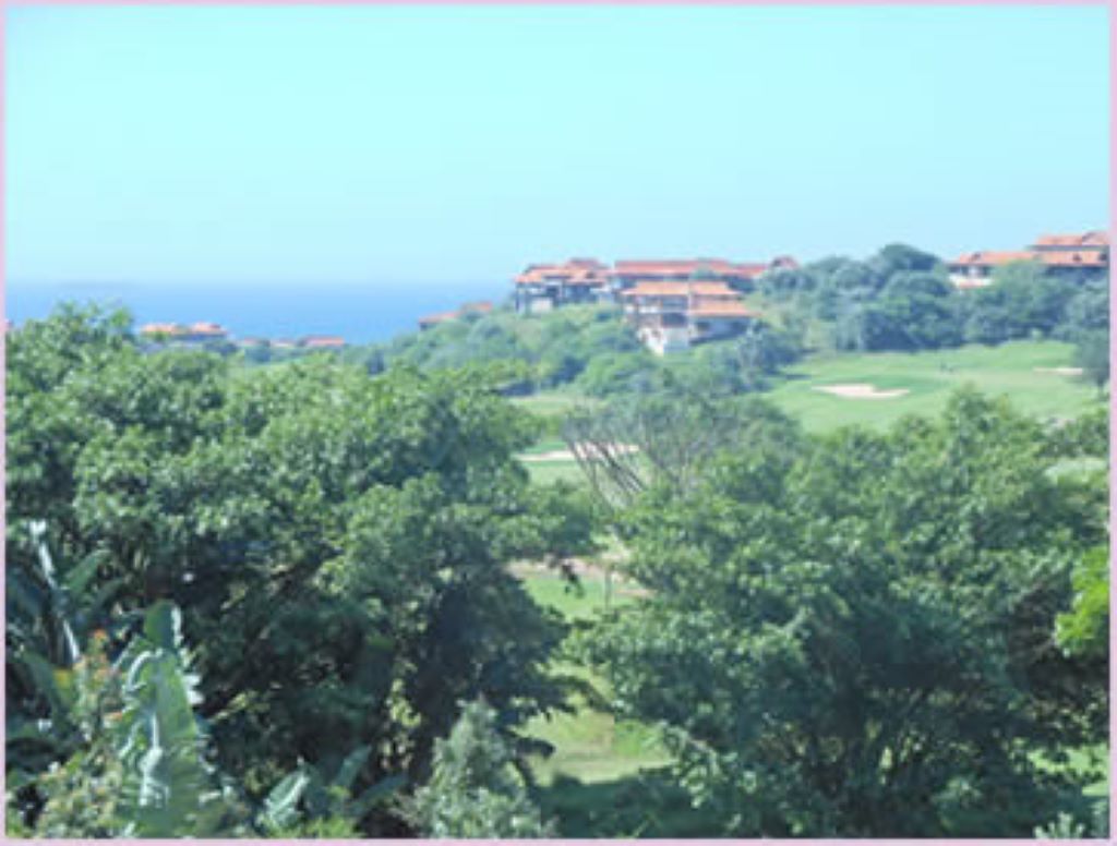 Zimbali 12