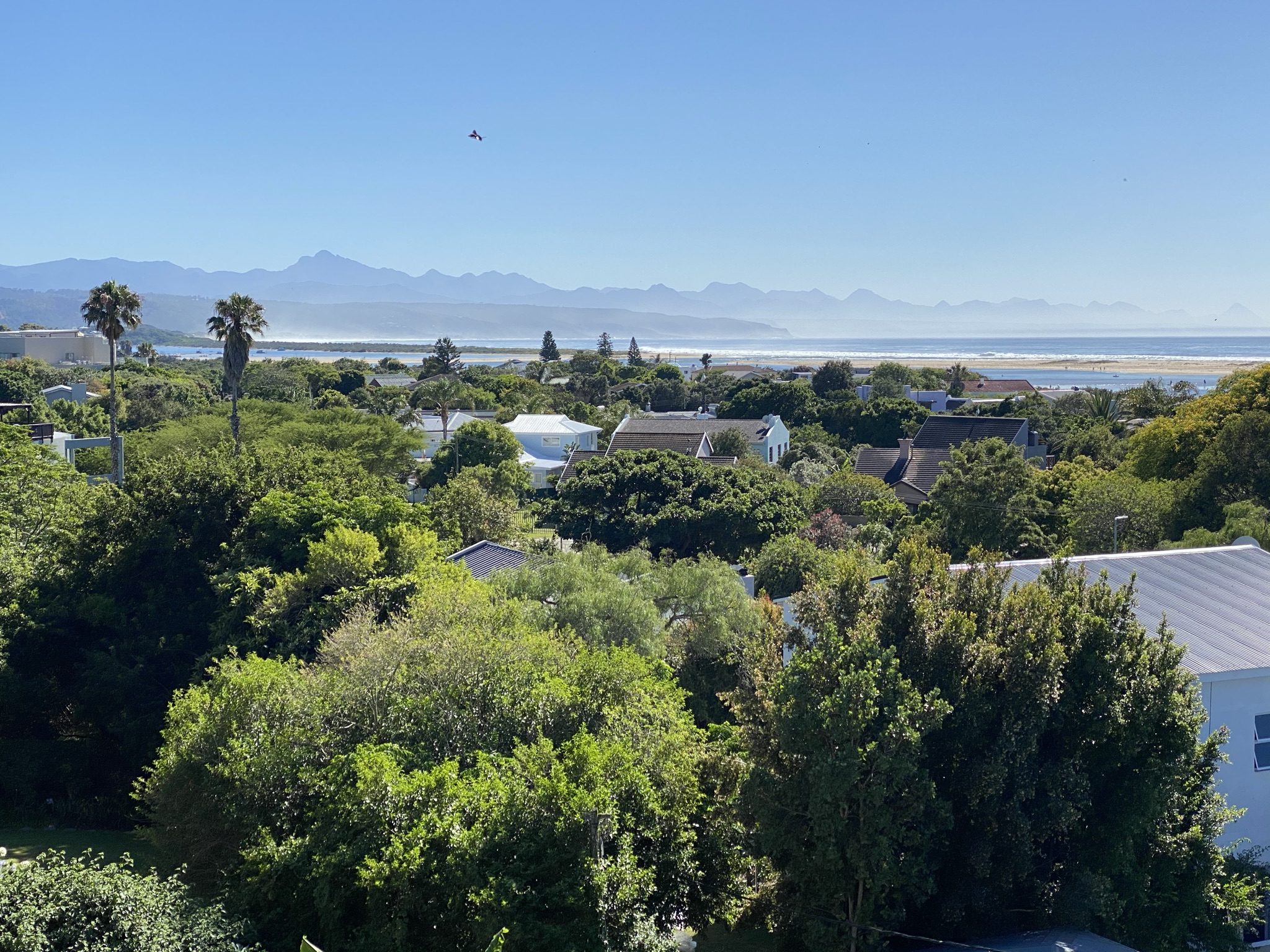 Plettenberg Bay 116 (50)