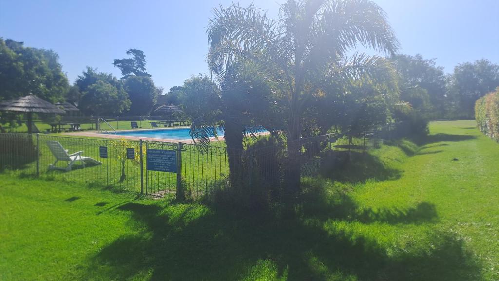 Knysna 60 (2)