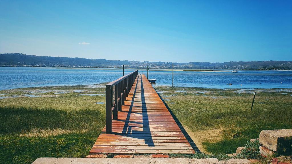 Knysna 60